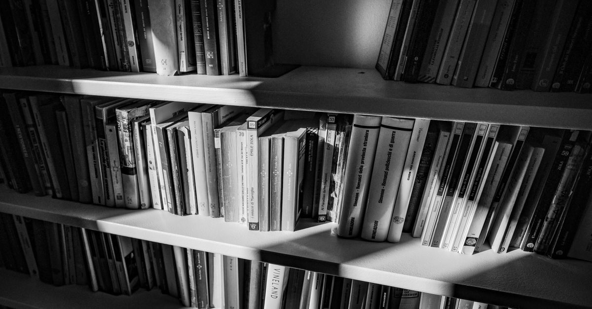 Bücherregal richtig organisieren: Mit diesen kreativen Ideen wird Ordnung zum echten Hingucker