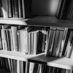 Bücherregal richtig organisieren: Mit diesen kreativen Ideen wird Ordnung zum echten Hingucker