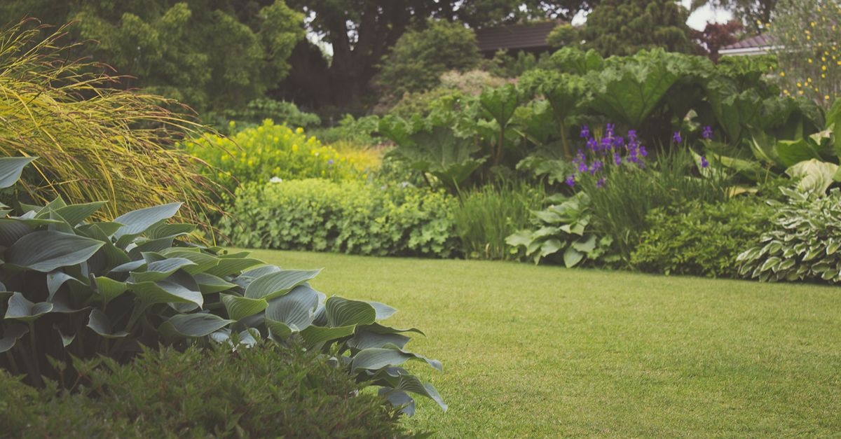 Wenig Arbeit, viel Gartenfreude: So planen Sie Ihren pflegeleichten Garten richtig