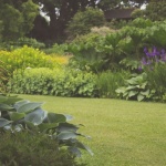 Wenig Arbeit, viel Gartenfreude: So planen Sie Ihren pflegeleichten Garten richtig