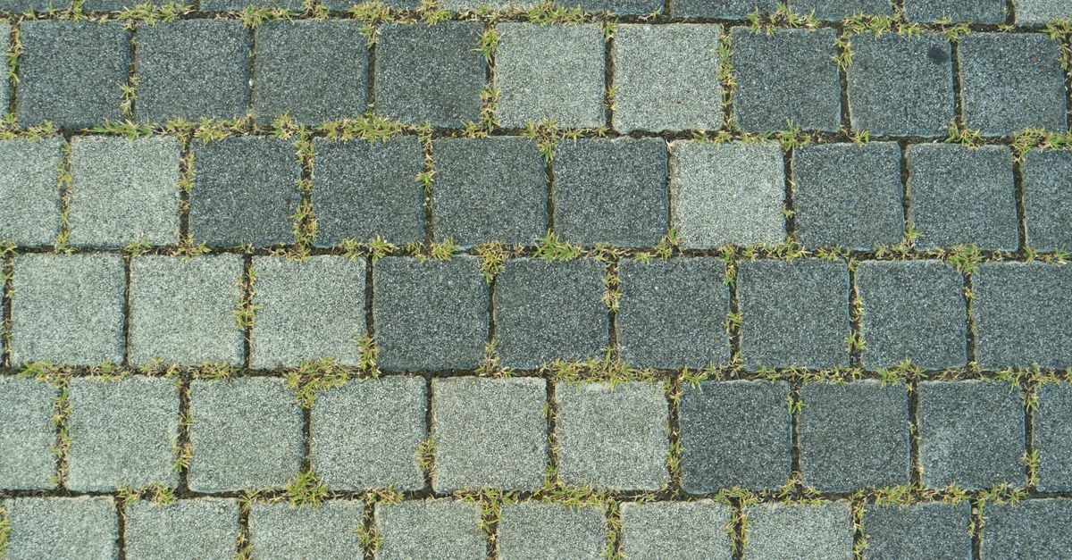 Pflasterweg richtig anlegen: So wird dein Gartenweg stabil, schön und langlebig