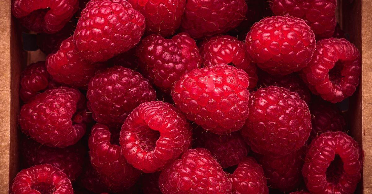 Himbeeren-Rankhilfe selber bauen: Mit diesen kreativen Ideen wachsen deine Beeren hoch hinaus