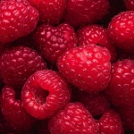 Himbeeren-Rankhilfe selber bauen: Mit diesen kreativen Ideen wachsen deine Beeren hoch hinaus