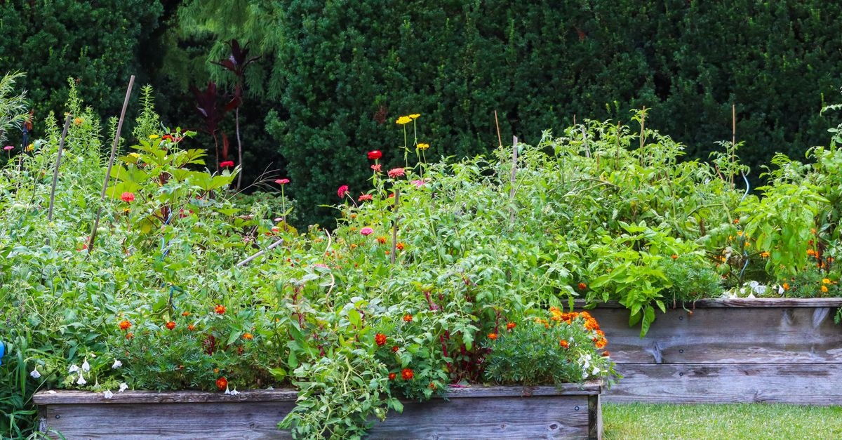 Hochbeet für den Balkon: Dein kleiner Garten mit großer Ernte