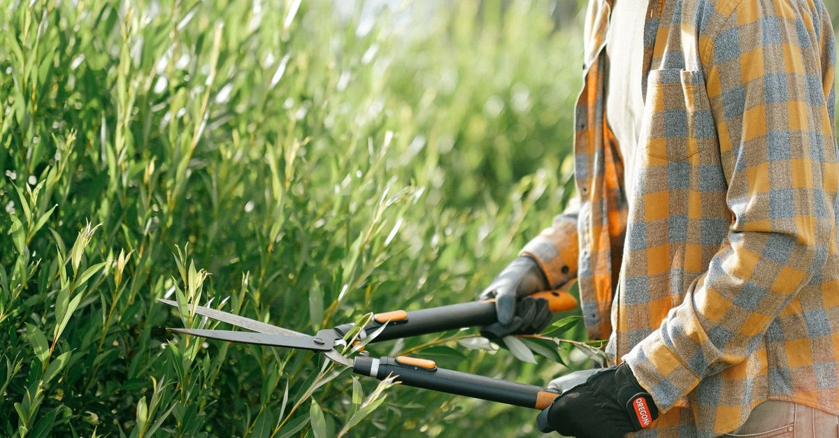 Heckenschere richtig auswählen: So finden Sie das perfekte Modell für Ihren Garten