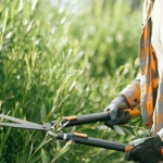 Heckenschere richtig auswählen: So finden Sie das perfekte Modell für Ihren Garten
