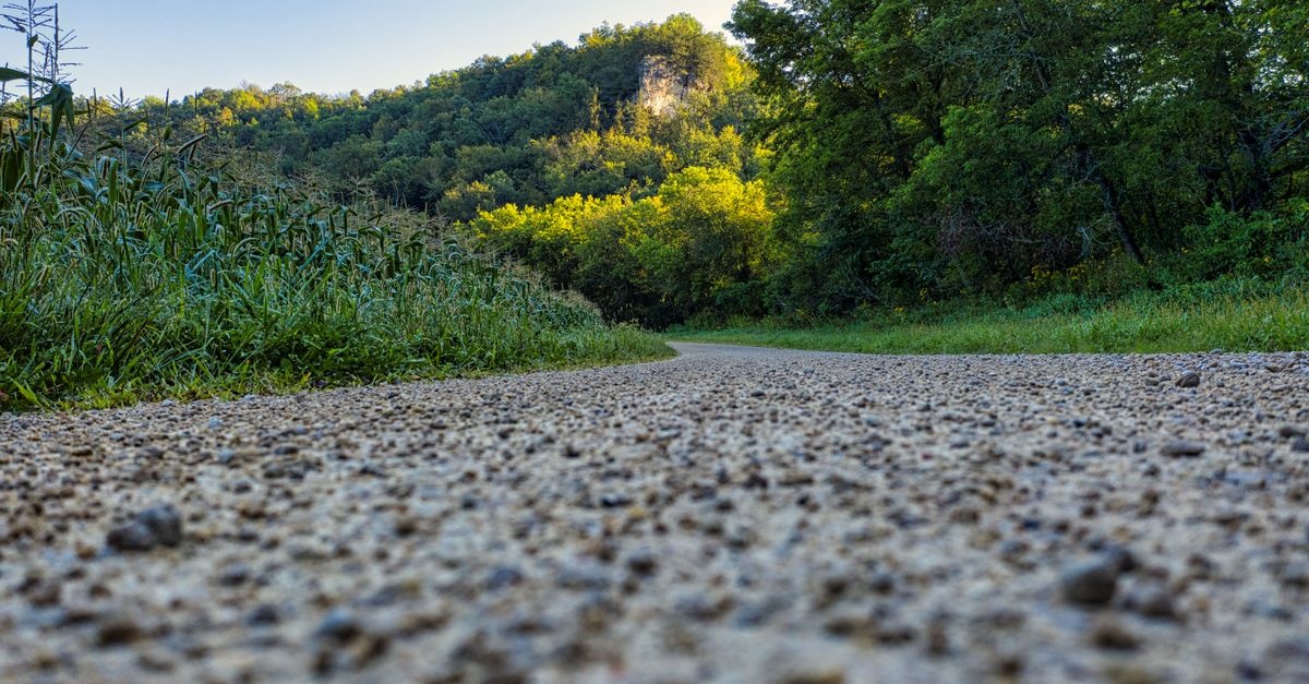 Kiesweg richtig anlegen: Mit diesen Tipps wird dein Gartenweg zum stilvollen Hingucker