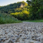 Kiesweg richtig anlegen: Mit diesen Tipps wird dein Gartenweg zum stilvollen Hingucker