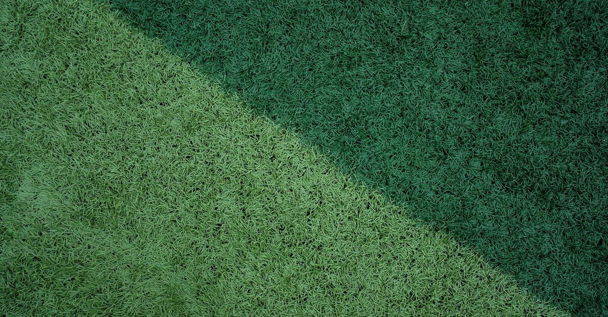 Spielrasen richtig pflegen: Mit diesen Tipps wird dein Rasen zum perfekten grünen Spielfeld