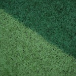 Spielrasen richtig pflegen: Mit diesen Tipps wird dein Rasen zum perfekten grünen Spielfeld
